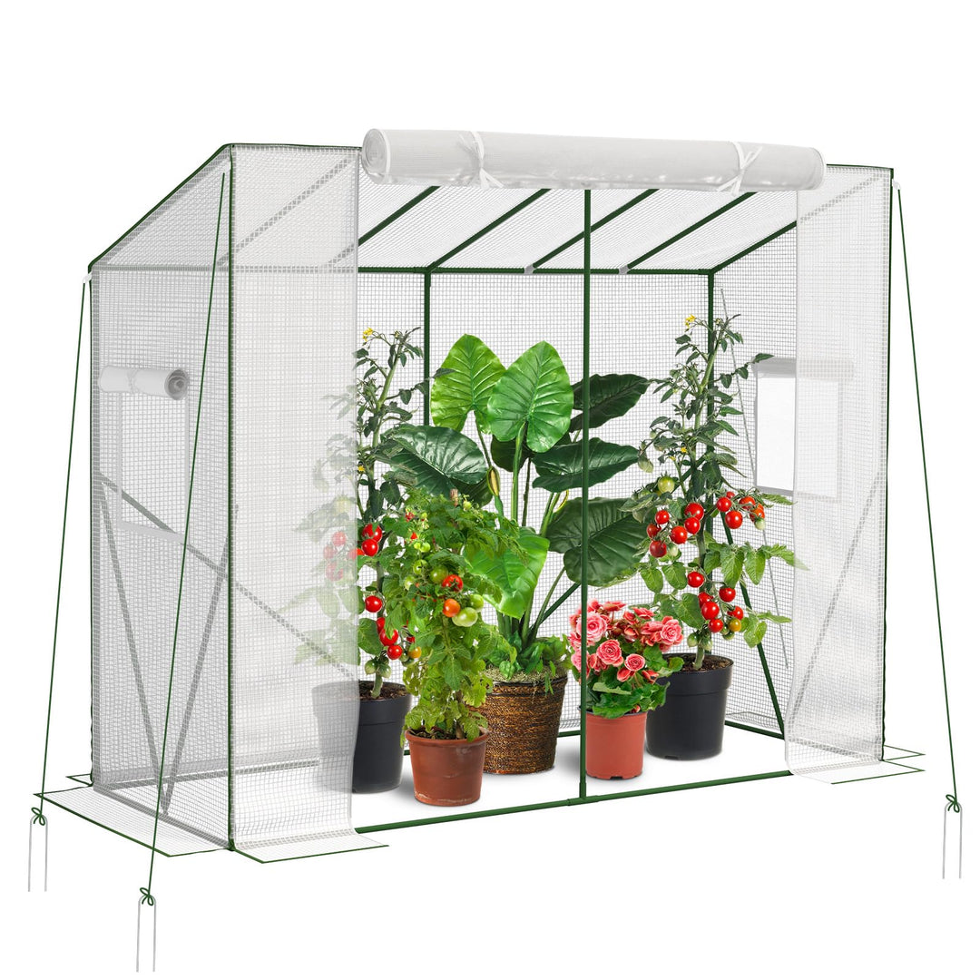 Velway Gewächshaus Tomatengewächshaus Begehbares 200x79x170/141cm | Witterungsschutz Schrägdach Foli