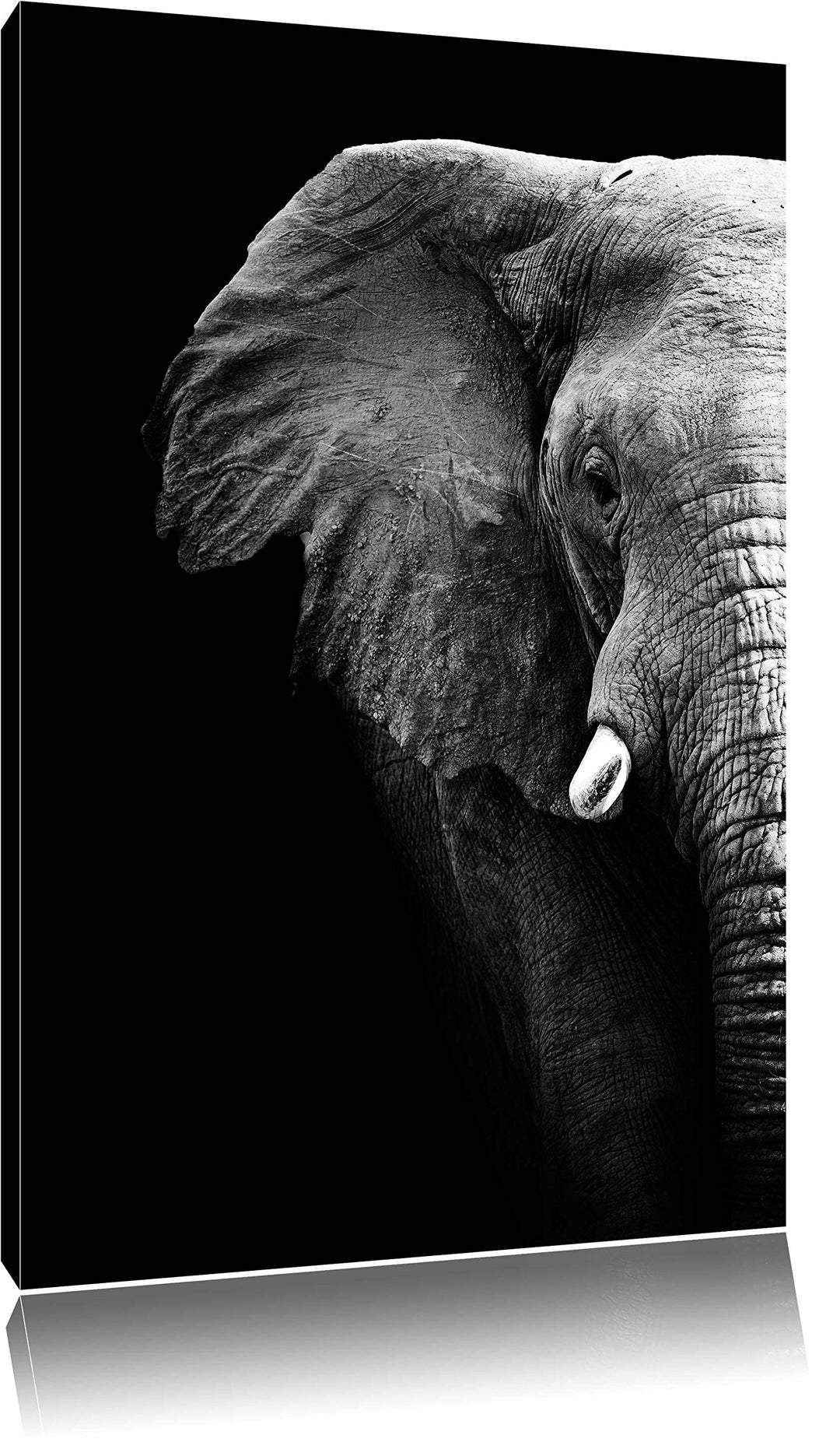 Pixxprint Elefant Porträt Format: 100x70 auf Leinwand, XXL riesige Bilder fertig gerahmt mit Keilrah