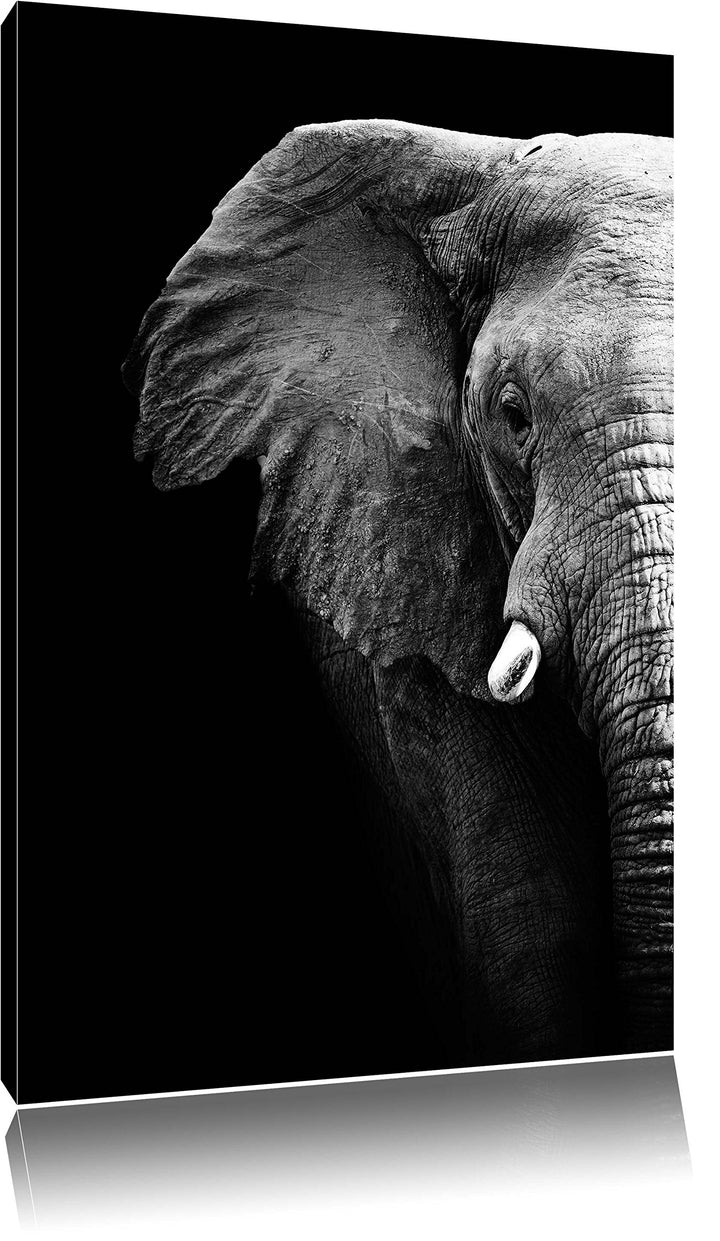 Pixxprint Elefant Porträt Format: 100x70 auf Leinwand, XXL riesige Bilder fertig gerahmt mit Keilrah