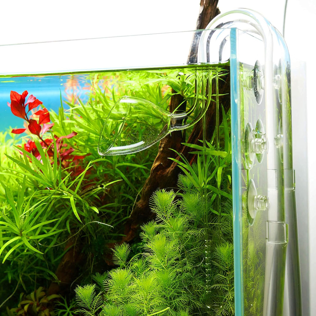 USCAPE Lily Pipe Inflow-Outflow Set - Aquarium Filtereinlauf Filterauslauf (13mm für 12/16mm Schlauc
