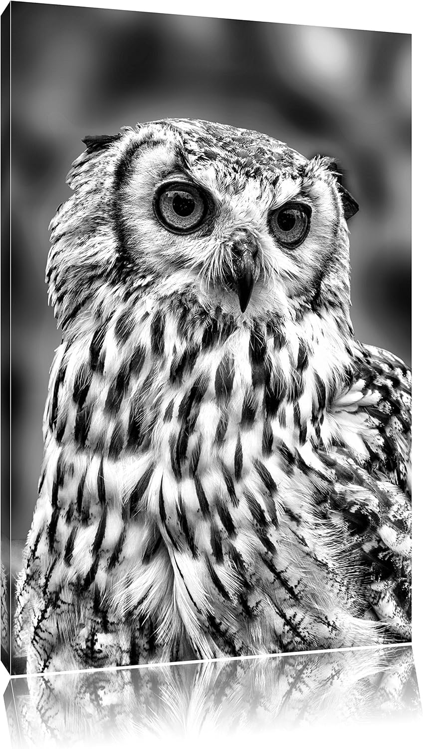 Pixxprint Eule mit orangen Augen als Leinwandbild/Grösse: 100x70 / Wandbild/Kunstdruck/fertig bespan
