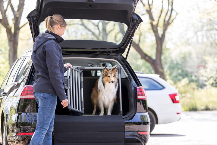 TRIXIE Hunde-Transportbox, Aluminium, S: 48 x 56 x 61 cm, grafit, inklusive rutschfester Liegematte,