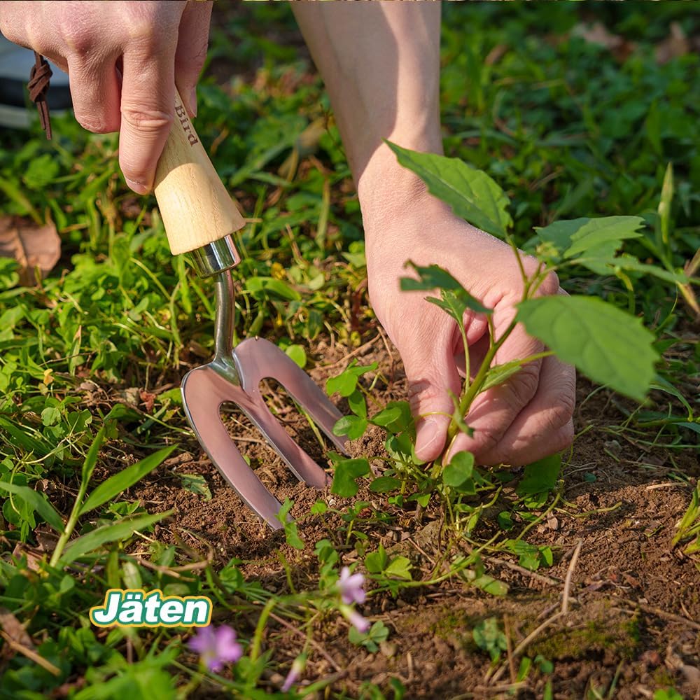 Berry&Bird Classic Blumengabel 30,7 cm - Grabegabel aus hochwertigem Edelstahl mit kurzem Holzgriff,