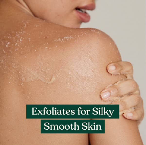 THE BODY SHOP Shea Sugar Body Scrub 250 ml Vanilla 250 ml (1er Pack), Vanilla 250 ml (1er Pack)