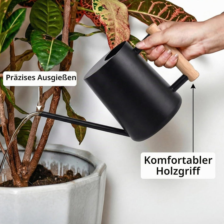 IMEEA 1L Giesskanne Zimmerpflanzen ，Schwarze Giesskanne Bewässerung Edelstahl In-Outdoor Giesskanne