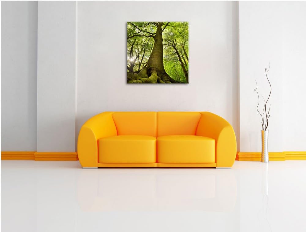 Riesiger Baum im Dschungel, Format: 70x70 auf Leinwand, XXL riesige Bilder fertig gerahmt mit Keilra