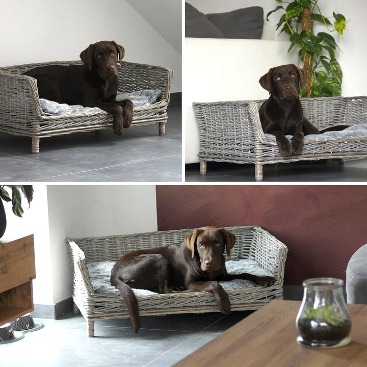 UNUS Hundebett Hundekorb Hundekörbchen aus Weide eckig mit Kissen grau für grosse und kleine Hunde 8