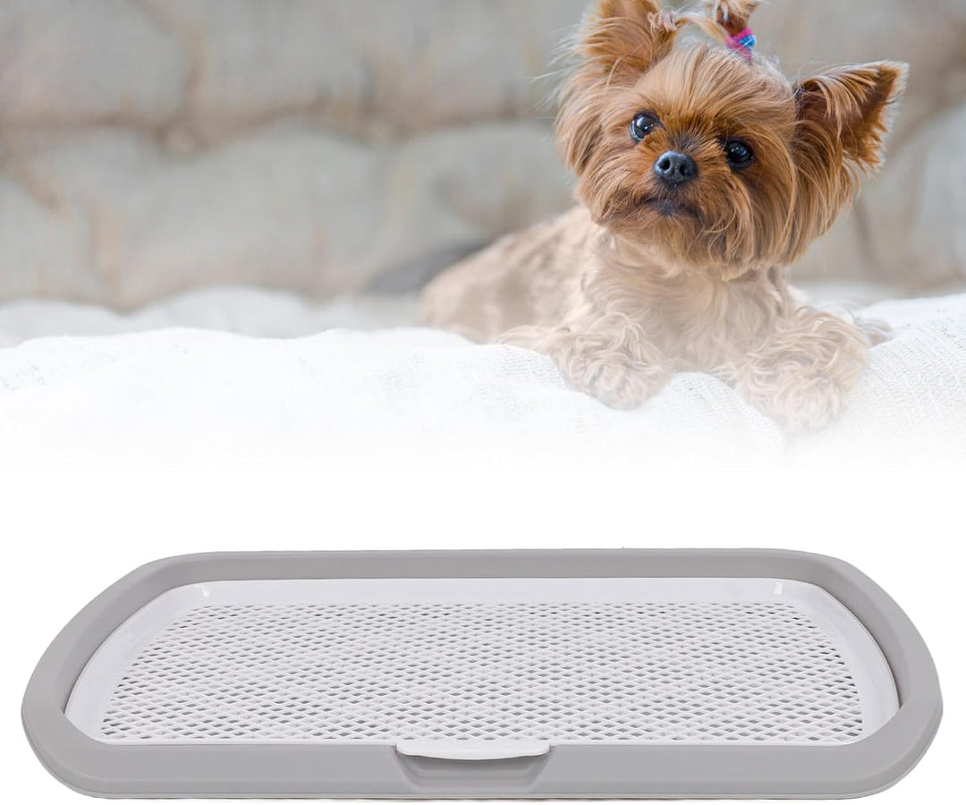 GLOGLOW Hundetöpfchen-Tablett, Kleine Hunde-Welpentoilette, Abnehmbare, Waschbare Hunde-Toiletten-Tr
