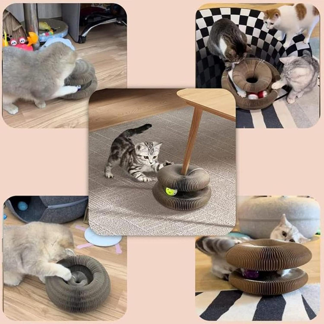 Katzenwirbel, Katzen Wirbel Spielzeug, Katzen Spielzeug, Katzenliebling Akkordeonspielzeug, Fummelbr