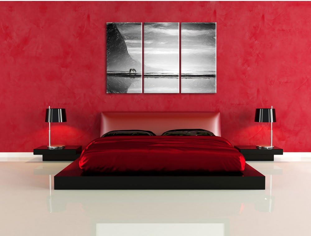Pixxprint Pferd am Ufer Einer Insel / 3-Teilig/Gesamtmass 120cm Leinwandbild bespannt auf Holzrahmen