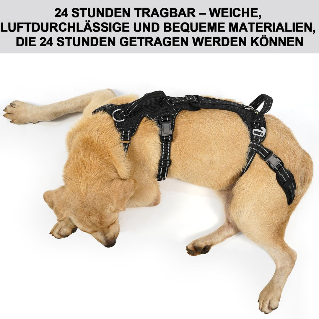 COODEO Hundefördergurt, Tragsack & Gehhilfe für Hunde, Hinterbein-Rehabilitationsweste, Transportgur