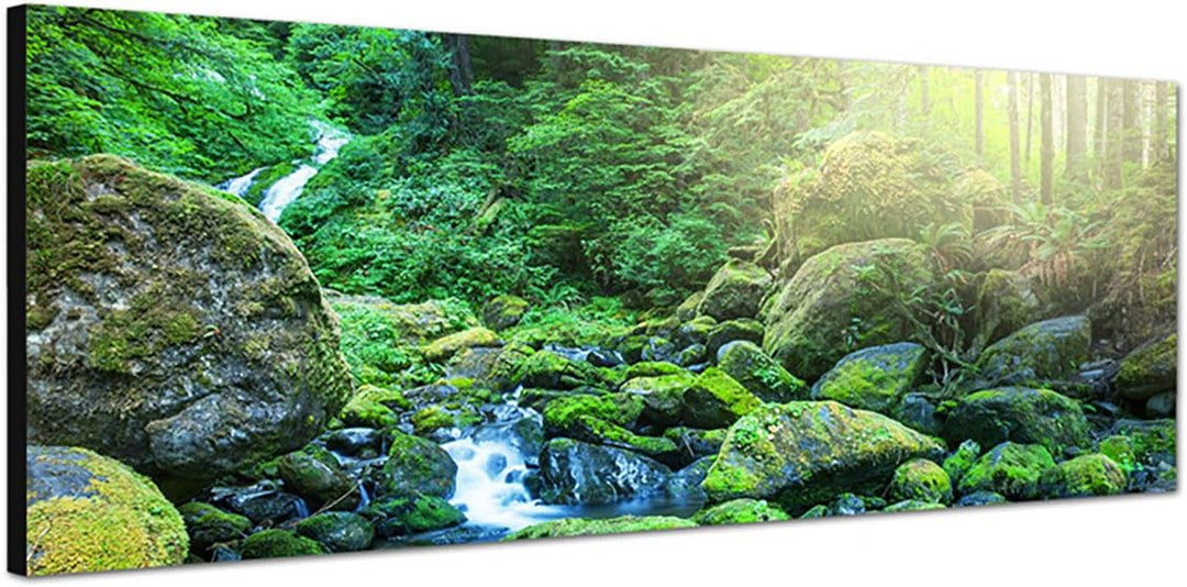 Paul Sinus Art Panoramabild auf Leinwand und Keilrahmen 150x50cm Wald Bäume Bach Steine Sonnenstrahl