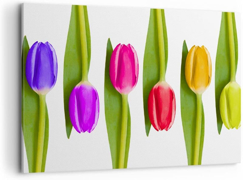 Bilder auf Leinwand 100x70cm Leinwandbild Tulpe Blume Garten Komposition Gross Wanddeko Bild Schlafz