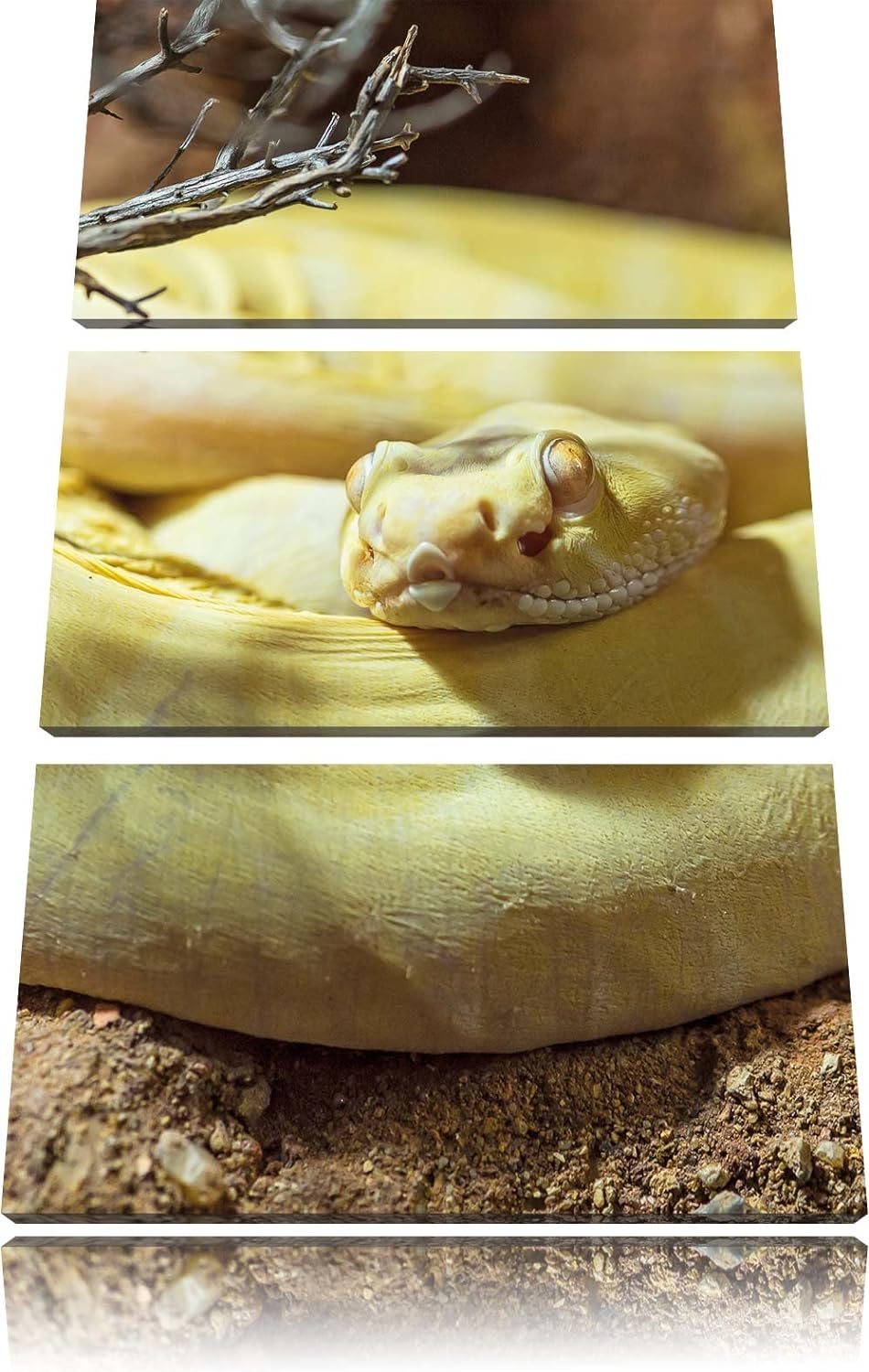 Pixxprint gelbe Schlange als Leinwandbild - Grösse: 3-Teilig (120x80cm) - Wandbild - Kunstdruck - fe