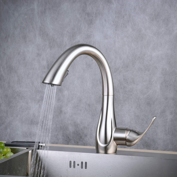 Beelee Küchenarmatur mit Herausziehbarer Dual-Spülbrause 360° Drehbar Wasserhahn Küche, Einhebel-Spü