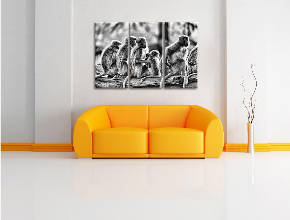 Pixxprint liebevolle Affenfamilie als Leinwandbild/Grösse: 3 Teilig (120x80) cm/Wandbild/Kunstdruck/