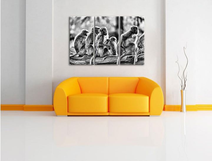 Pixxprint liebevolle Affenfamilie als Leinwandbild/Grösse: 3 Teilig (120x80) cm/Wandbild/Kunstdruck/