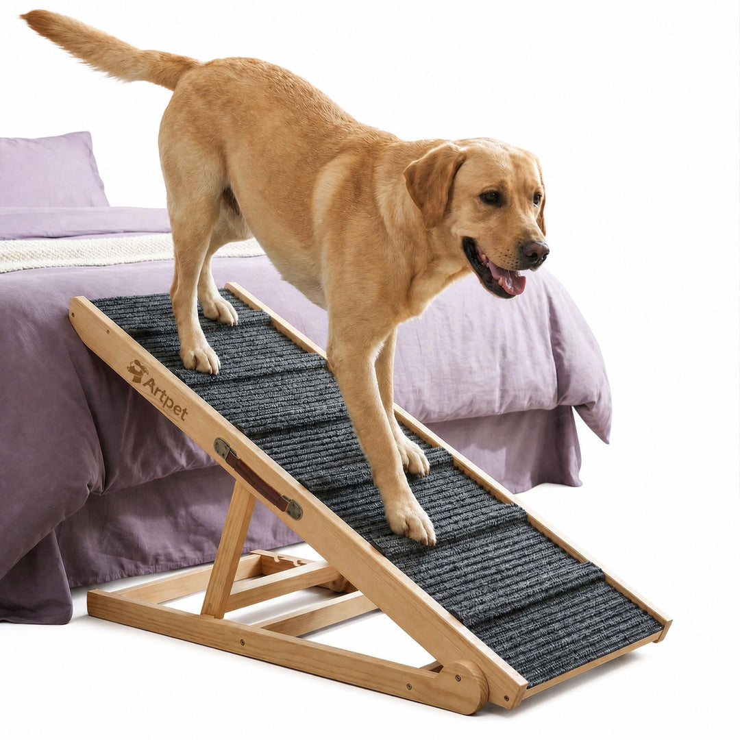 Hunderampe für Sofa Bett Klappbar Rampe für grosse Hunde Katzen Einstellbar 34-60 cm, bis zu 90 kg I