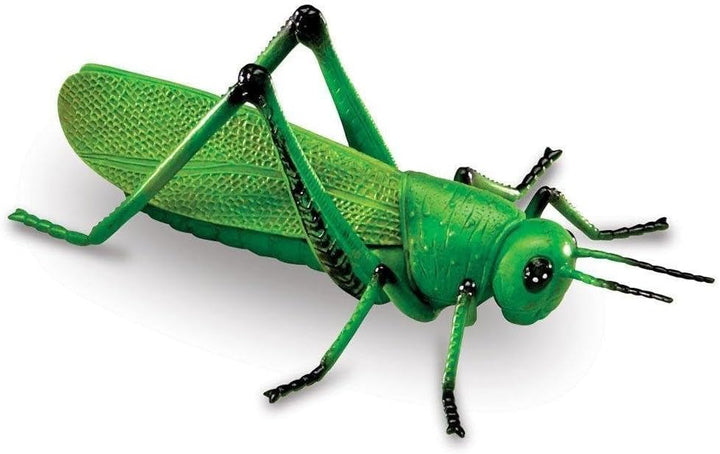 Learning Resources Insekten, Mittel
