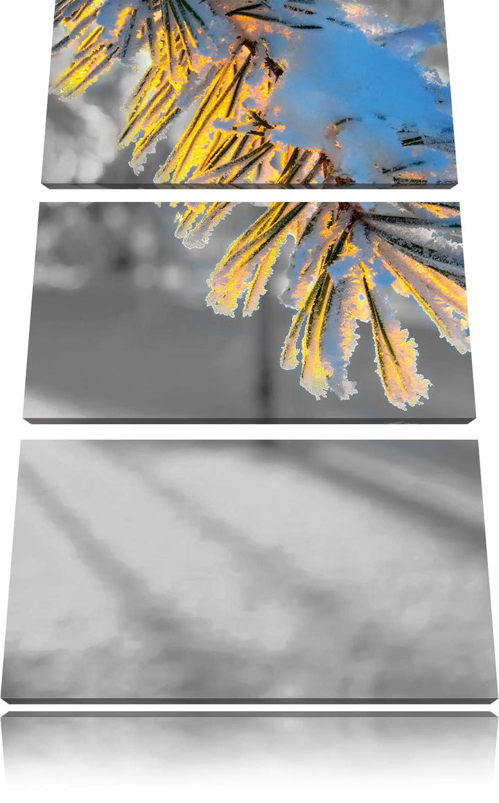 Pixxprint Tannenzweig im Winterwald schwarz/weiss 3-Teiler Leinwandbild 120x80 Bild auf Leinwand