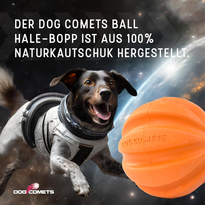 Perro Cometas Swift Tuttle Met Touw Oranje Orange, Orange