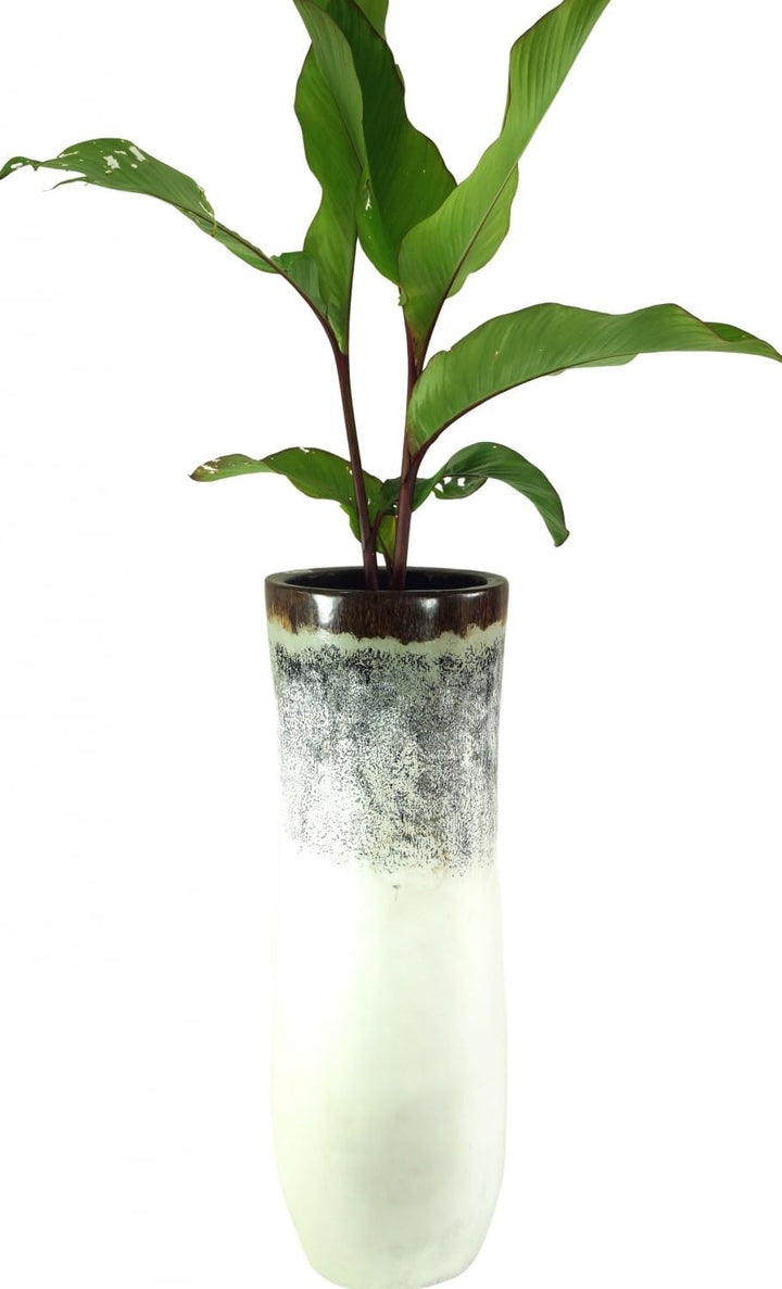 GURU SHOP Vase, Übertopf, Pflanzgefäss aus Palmholz, Grösse: Klein 37x18x18 cm, Vasen & Blumentöpfe