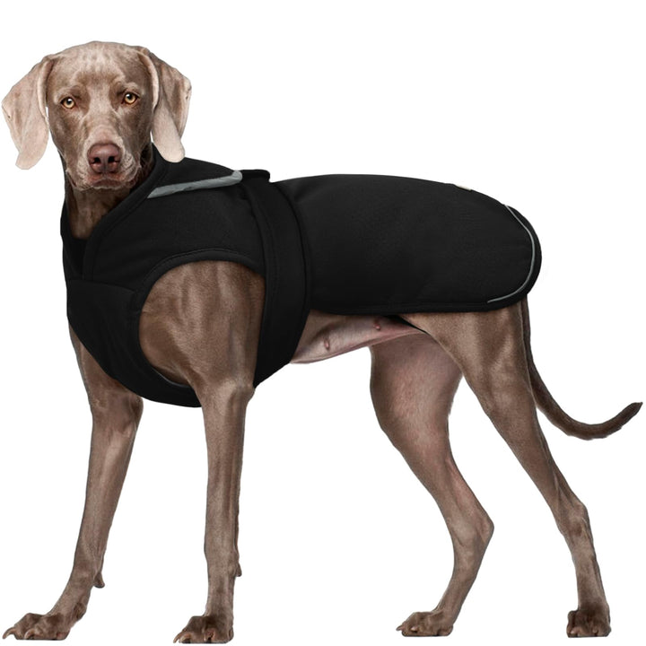 Kuoser Wasserdicht Hundemantel Hundejacke für Kleine Mittelgrosse Hunde, Reflektierende Leinwand Win