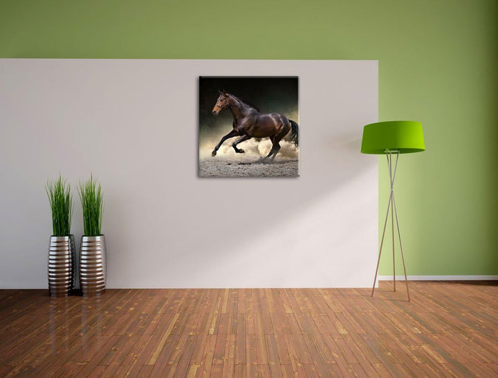 Anmutiges dunkles Pferd, Format: 70x70 auf Leinwand, XXL riesige Bilder fertig gerahmt mit Keilrahme