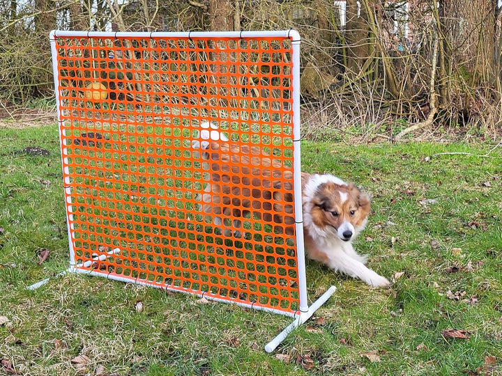 HOOPERS Agility Zaun orange/VDH-KONFORM/Gate/Gatter/Trennzaun, aus Kunststoff, NADAC Hoopers