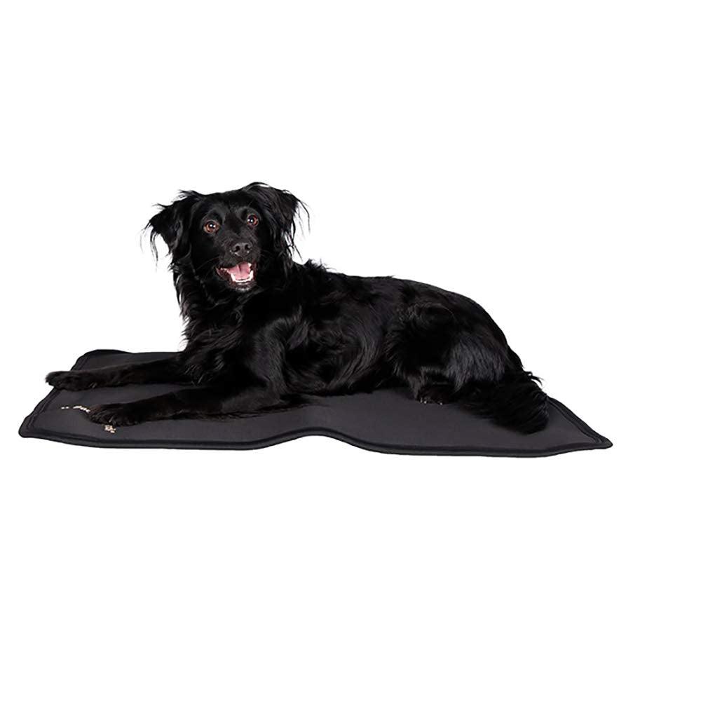 Hundematratze Cage Fit, Back on Track® - Hund - Grösse 120 x 74 cm