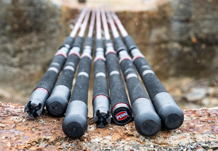 Penn Squadron III Jig-Spinnrute | 24T High Modulus Carbon & SW-Proof-Komponenten | Ergonomischer Eva