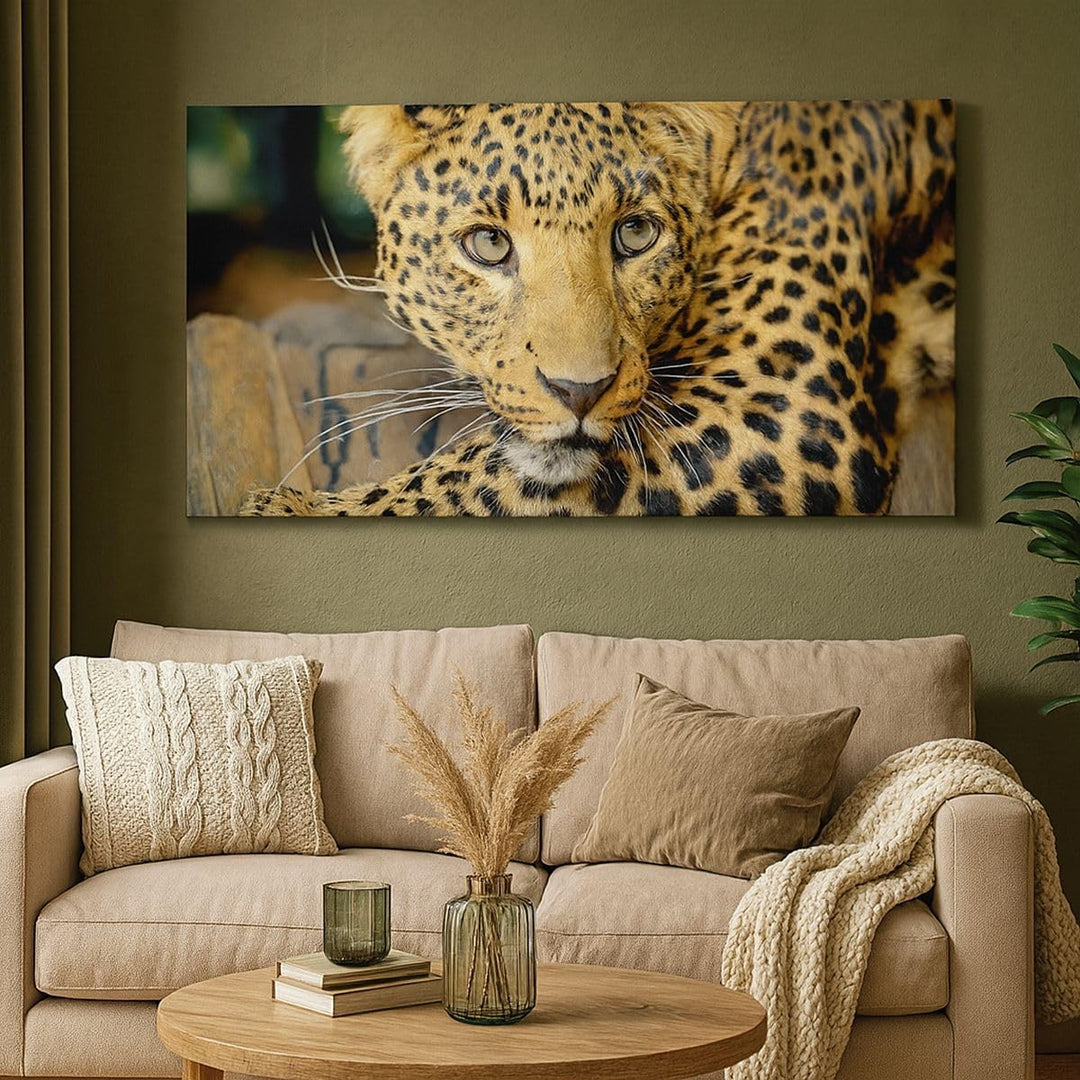 Panorama Bilder auf Leinwand 100x40cm Leinwandbild Tiere gefährlich wilde katze Gross Wanddeko Bild
