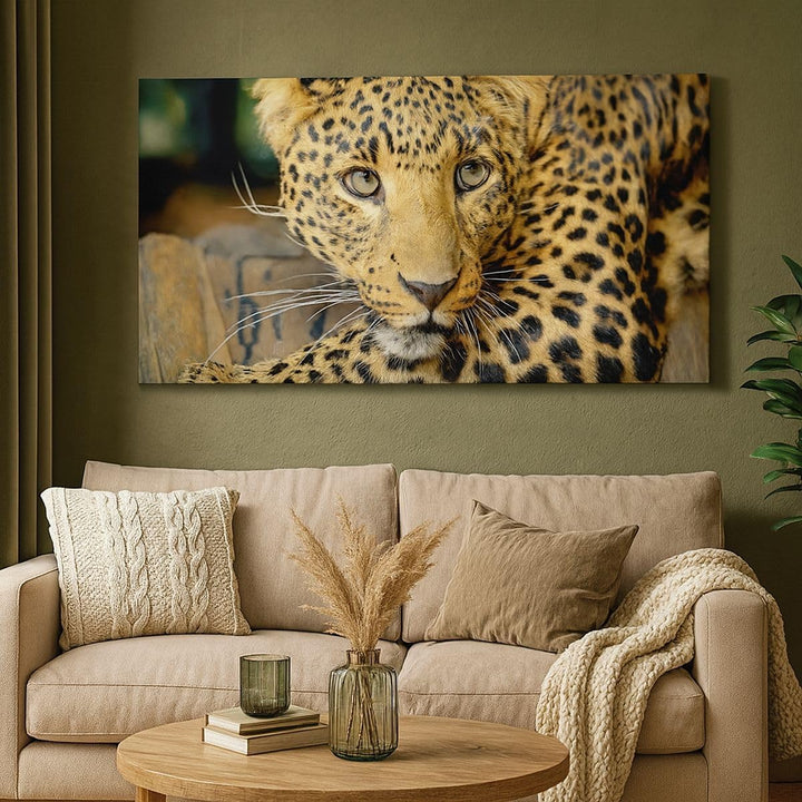 Wandbilder Dekoration Wohnzimmer Tiere gefährlich wilde katze Panorama Bilder auf Leinwand 120x50cm