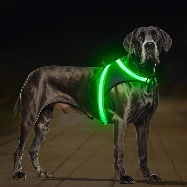 ChalkLit LED Leuchtendes Hundegeschirr USB Wiederaufladbares Vollständig Beleuchtetes Hundegeschirr
