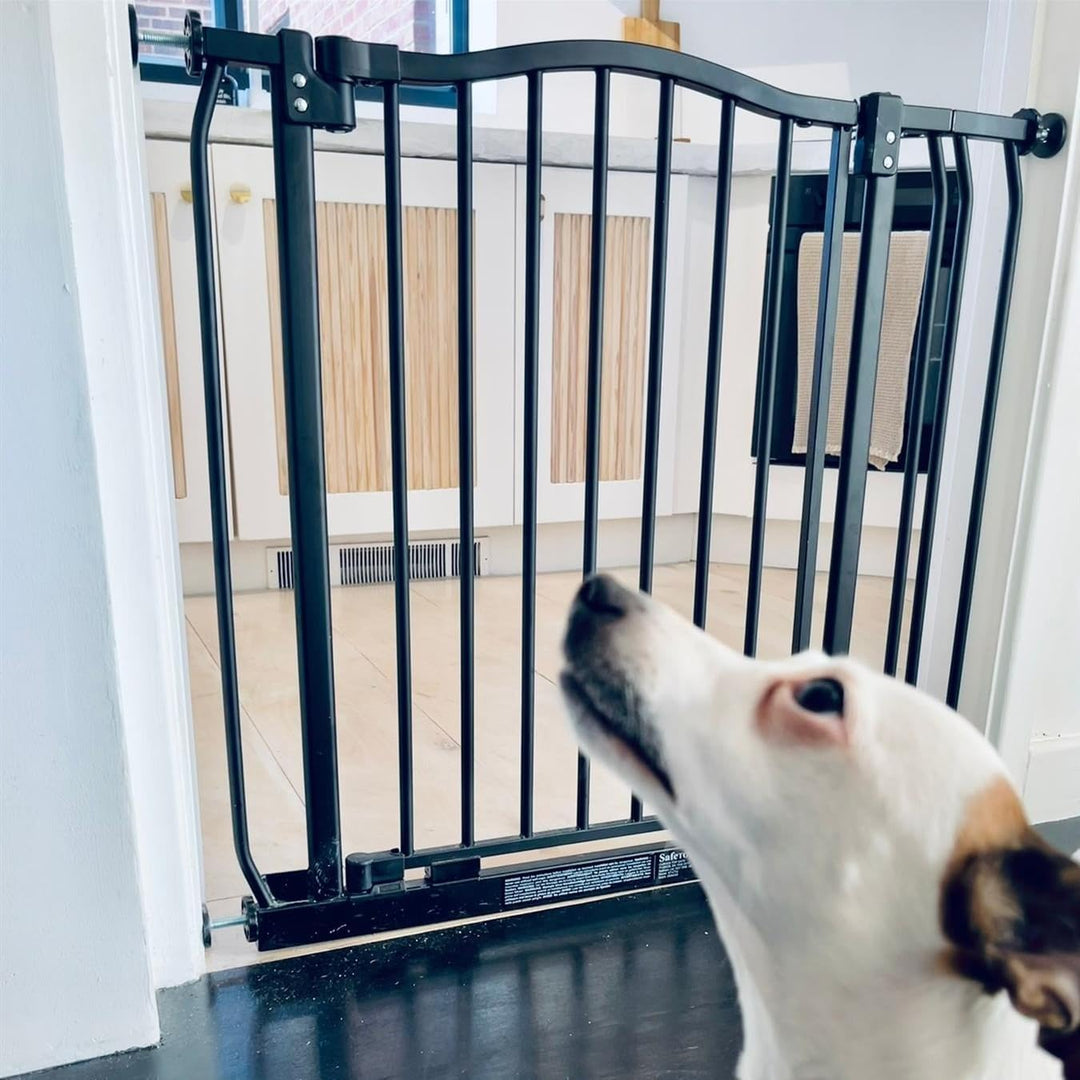 Bettacare Gebogenes Hundetor, 171cm - 180cm, Mattschwarz, Druckmontage Haustiertor für Hunde und Wel