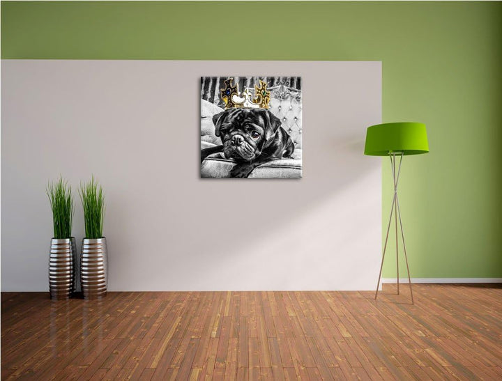 Pixxprint Mops mit Krone auf Thron als Leinwandbild/Grösse: 70x70 cm/Wandbild/Kunstdruck/fertig besp