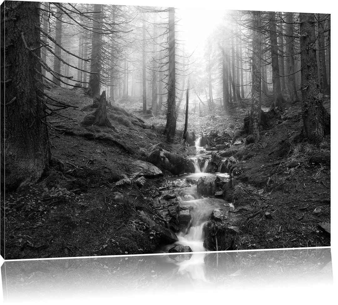 Bach im Wald Kunst B&W, Format: 100x70 auf Leinwand, XXL riesige Bilder fertig gerahmt mit Keilrahme