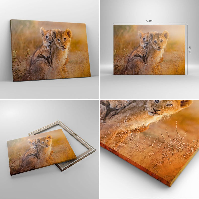 Bilder auf Leinwand Löwe Natur Tier Leinwandbild mit Rahmen 70x50cm Wandbilder Dekoration Wohnzimmer