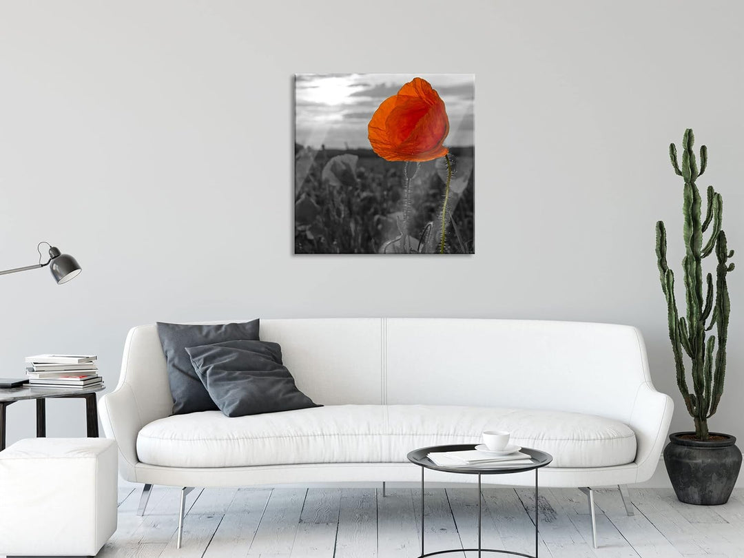 Pixxprint Glasbild | Wandbild auf Echtglas | Mohnfeld | 40x40 cm | inkl. Aufhängung und Abstandshalt