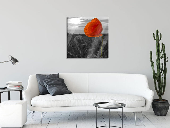 Pixxprint Glasbild | Wandbild auf Echtglas | Mohnfeld | 40x40 cm | inkl. Aufhängung und Abstandshalt