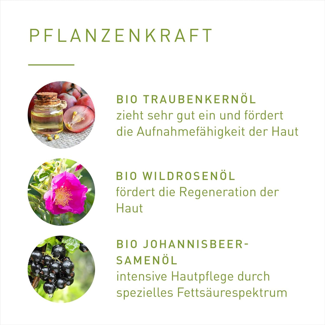 PRIMAVERA Lebensfreude Trockenöl 100 ml – Naturkosmetik – Limette, Ingwer Duft – schnell einziehend,
