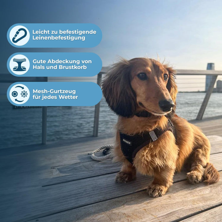Voyager Step-In Air Hundegeschirr by Best Pet Supplies - All Weather Mesh Step in Vest Harness für k