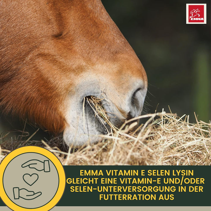 Selen Vitamin E Lysin Liqud + Booster für Pferde gesunde Muskulatur erhalten Pferd Vitamin E-Selen L