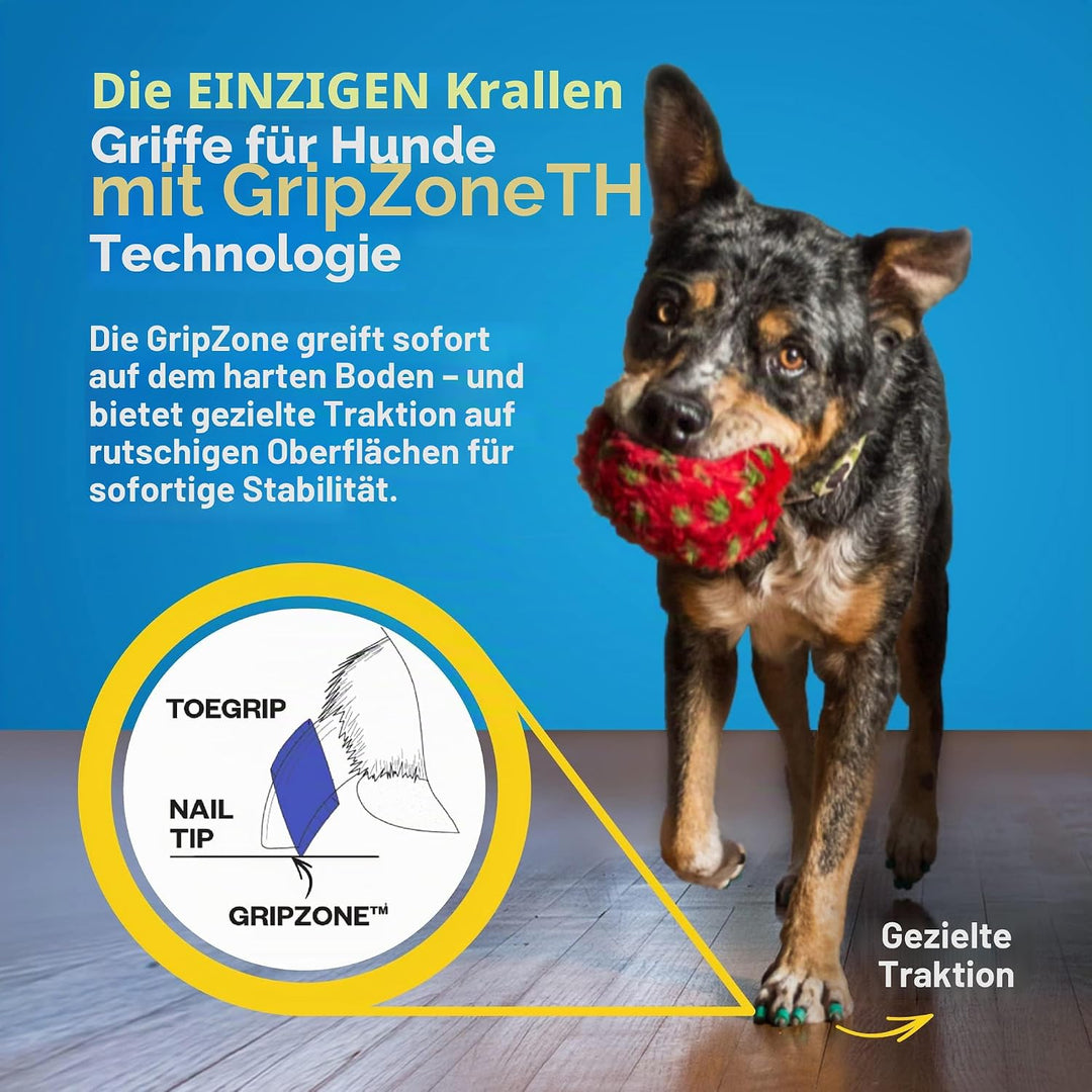 Dr Buzby's Grosse Zehengriffe für Hunde – sofortige Traktion auf Holz-/Hartholzböden – rutschfeste E