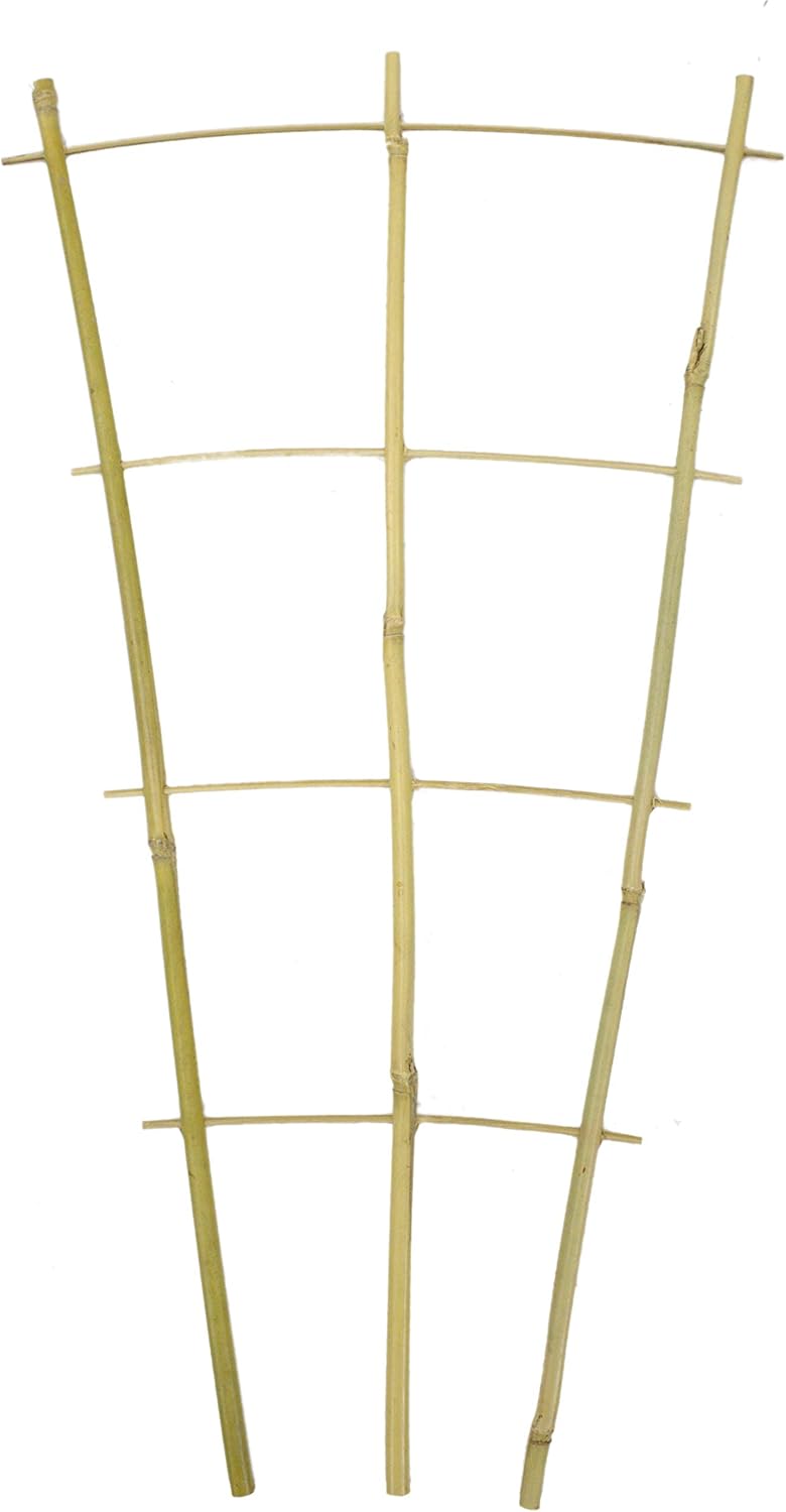 DARO DEKO Bambusrohr Rankgitter 32 x 60cm 80 Stück, 32 x 60cm 80 Stück