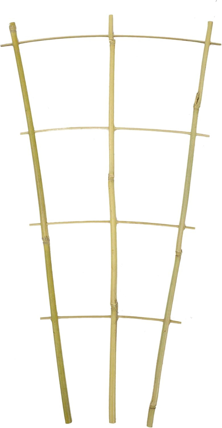 DARO DEKO Bambusrohr Rankgitter 32 x 60cm 80 Stück, 32 x 60cm 80 Stück