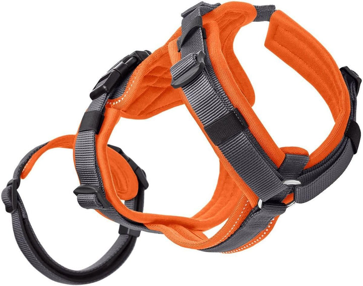 Sicherheitsgeschirr Maldon Farbe orange/grau, Grösse XS XS orange/grau, XS orange/grau