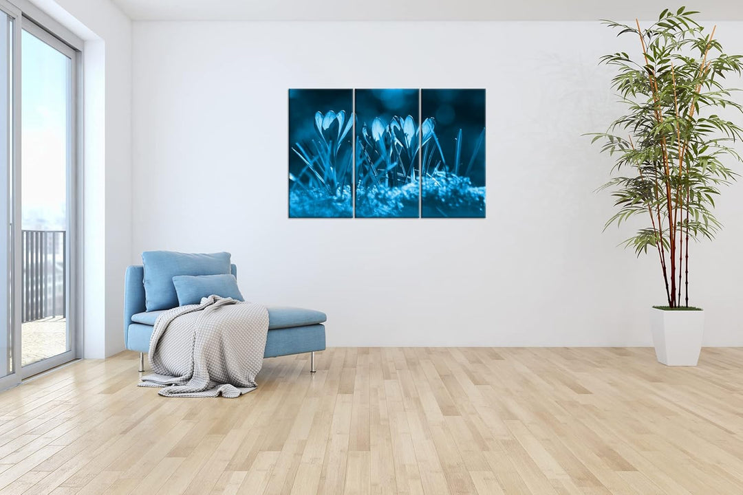 beeindruckende Krokusse im Frühling Effekt: Zeichnung Format: 3-teilig 120x80, Motiv fertig gerahmt