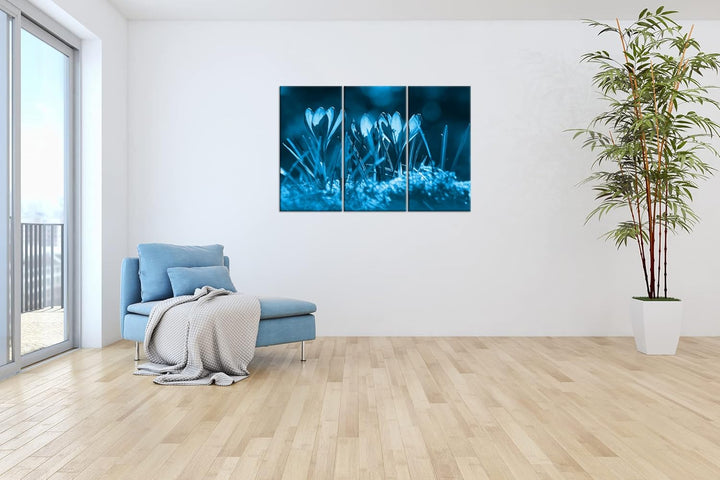 beeindruckende Krokusse im Frühling Effekt: Zeichnung Format: 3-teilig 120x80, Motiv fertig gerahmt