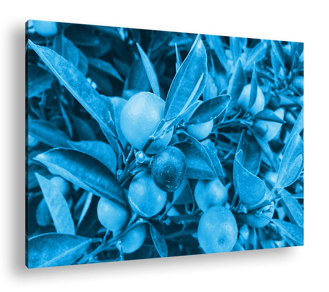 deyoli Reife Zitronen am Baum Format 80x60 Effekt: Monocrome Blau als Leinwandbild, Motiv fertig ger